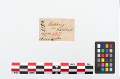Etikett zu Bronzegewandnadel (NHMW-PRAE-025376)